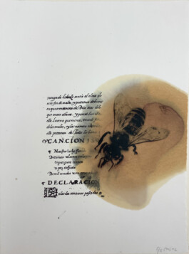 Atelier Michael Woolworth