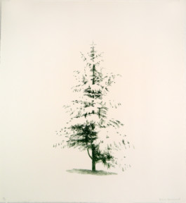 Atelier Michael Woolworth