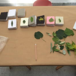 Atelier Michael Woolworth