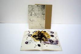 Atelier Michael Woolworth