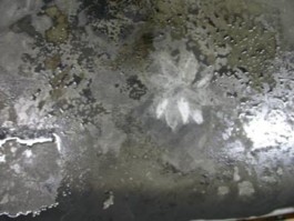 Atelier Michael Woolworth