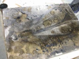 Atelier Michael Woolworth