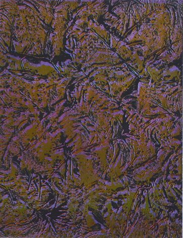 Atelier Michael Woolworth