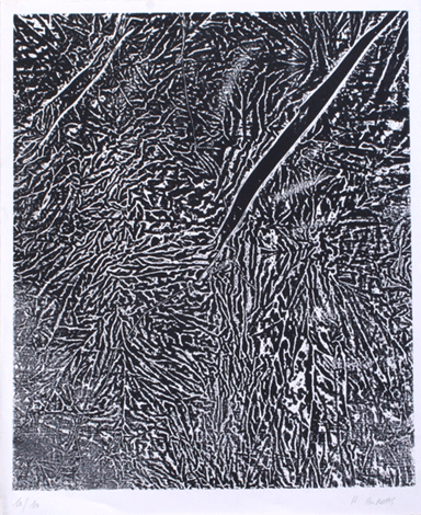 Atelier Michael Woolworth