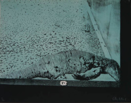 Atelier Michael Woolworth