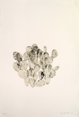 Atelier Michael Woolworth