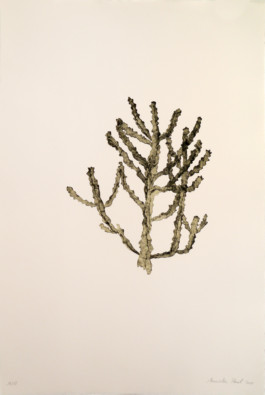 Atelier Michael Woolworth