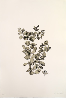 Atelier Michael Woolworth