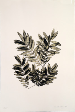 Atelier Michael Woolworth