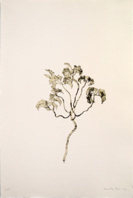 Atelier Michael Woolworth