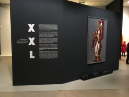 Atelier Michael Woolworth