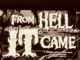 Atelier Michael Woolworth