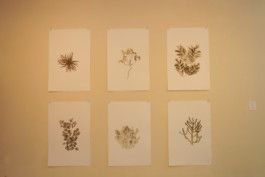 Atelier Michael Woolworth