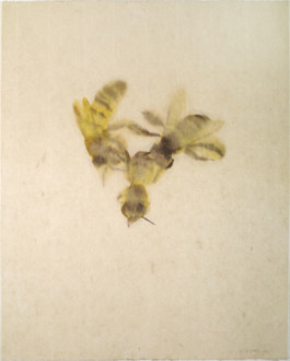 Atelier Michael Woolworth