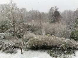 Atelier Michael Woolworth