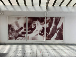 Atelier Michael Woolworth