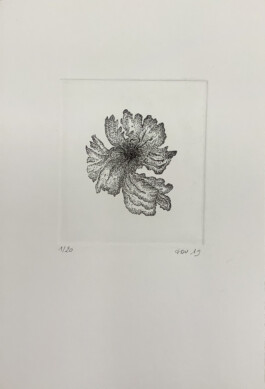 Atelier Michael Woolworth