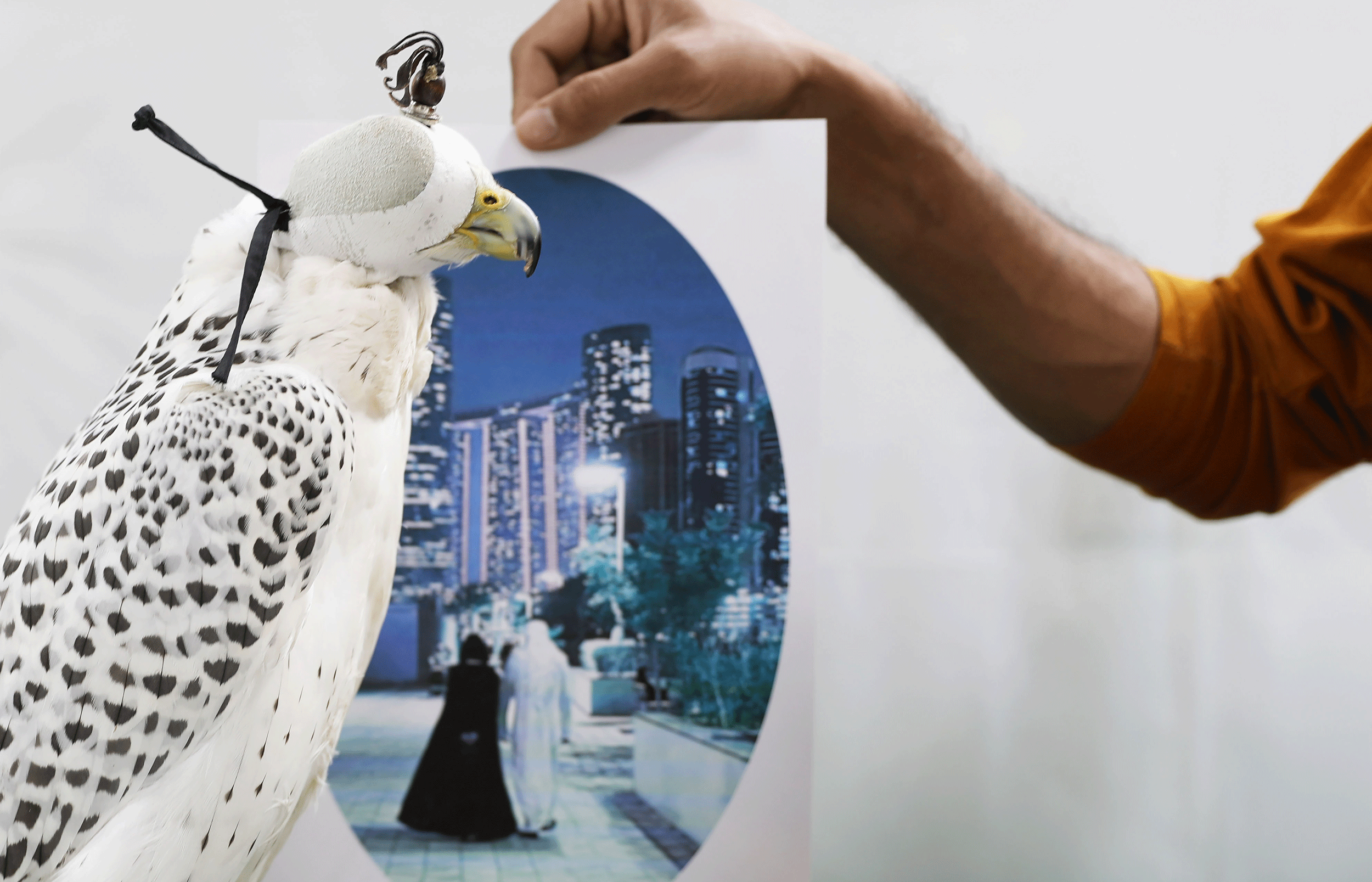 Atelier Michael Woolworth