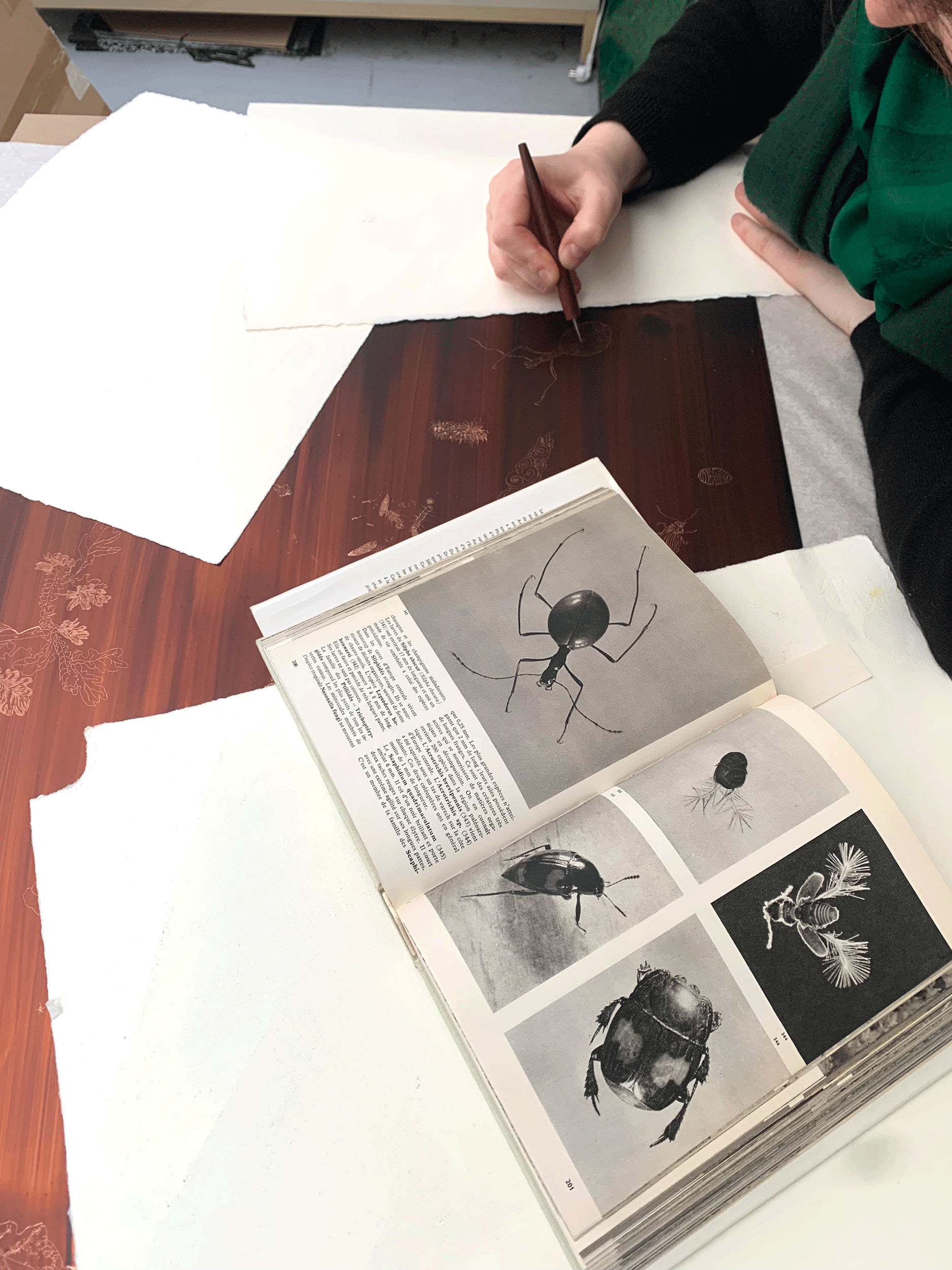 Atelier Michael Woolworth