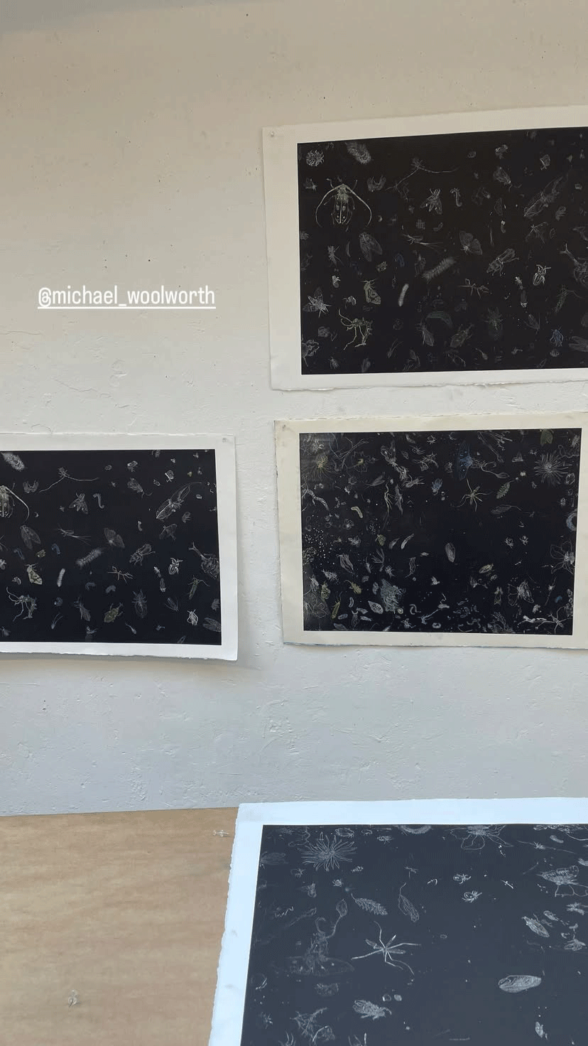 Atelier Michael Woolworth