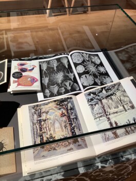 Atelier Michael Woolworth