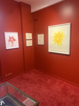 Atelier Michael Woolworth